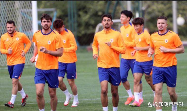 VAR判罚再引争议，那不勒斯对阵海港裁判判点引发巨大争议的简单介绍